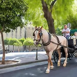 Διαμέρισμα Alcazares In Historic Center *