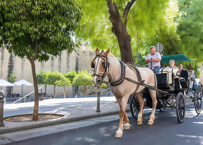 Alcazares In Historic Center